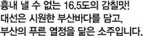 16.7  , 19 ÿٴ ε巯 䳻   17.5 ĥ! ÿ ÿ(C1) λٴٸ , λ Ǫ(Blue)   Դϴ.